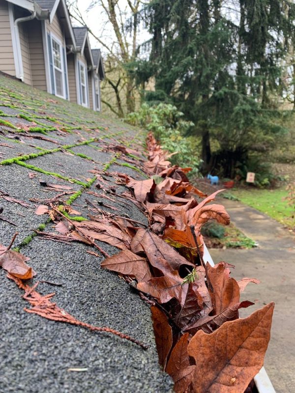 Gutter Cleaning Seattle Roof Cleaning