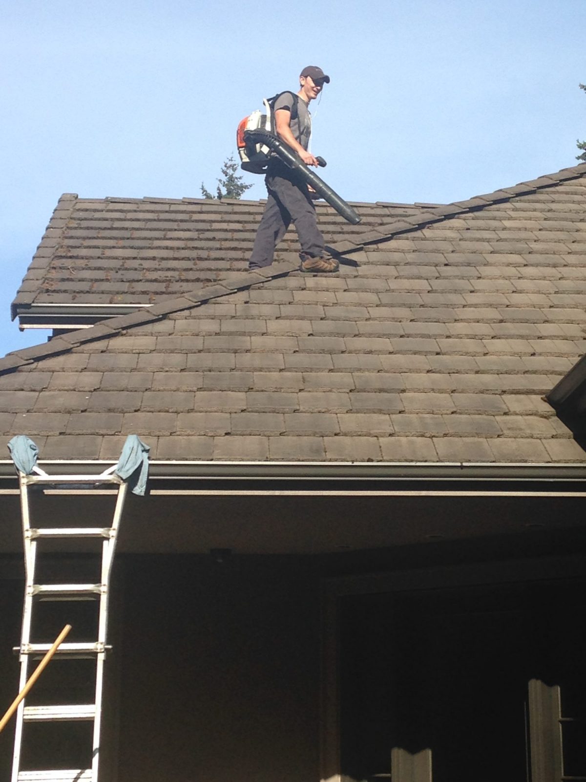 Roof Cleaning Business